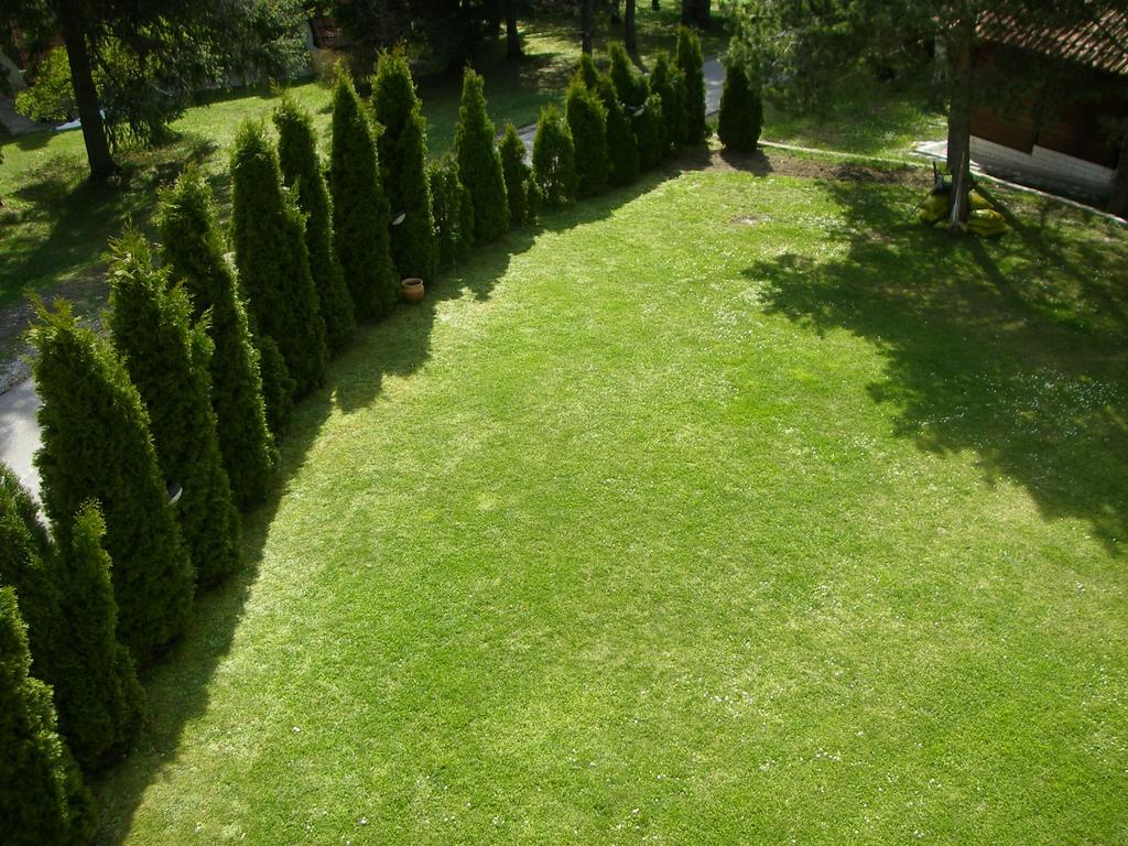 Apartments Vila Knez Zlatibor Ngoại thất bức ảnh